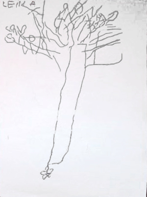 IMG 3136 resultat resultat