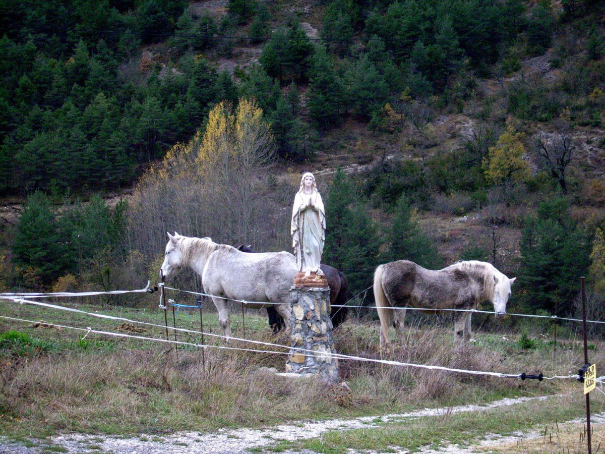 vierge chevaux 2